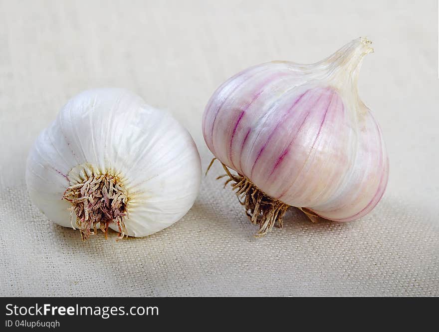 Fresh garlic on sacking closeup