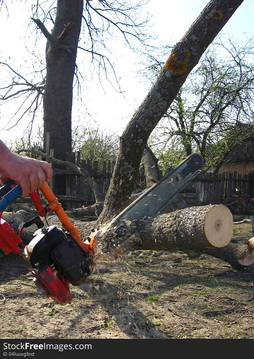 The man sawing the firewoods by petrol saw. The man sawing the firewoods by petrol saw
