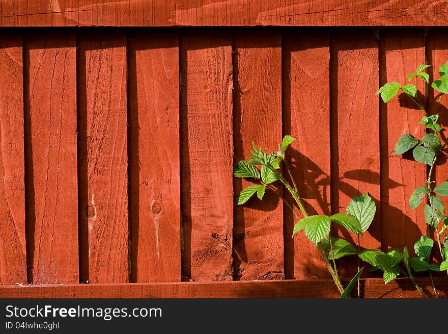 Green plant resting on rustic red fence. (84). Green plant resting on rustic red fence. (84)