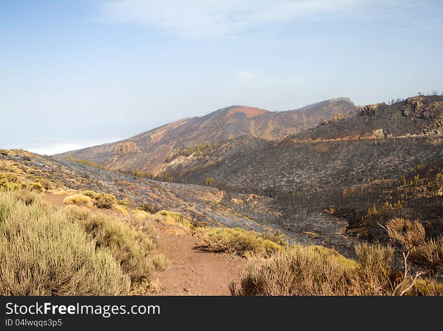 El Teide 10