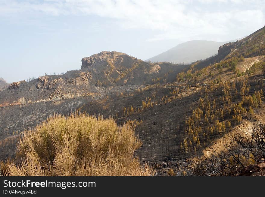 El Teide 9