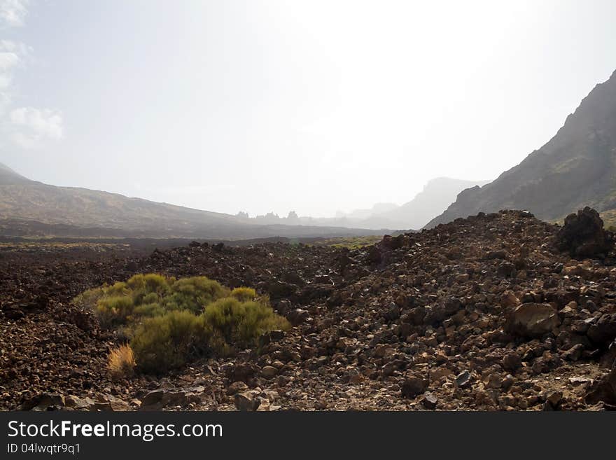 El Teide 8