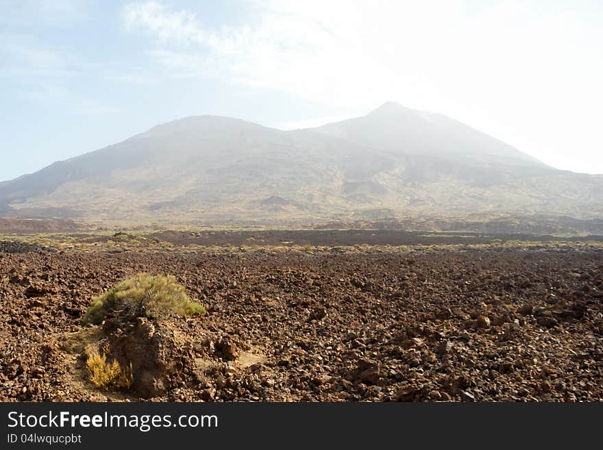 El Teide 6