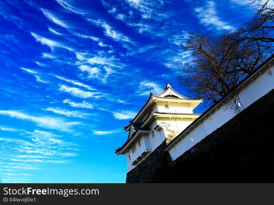 Maizuru Castle of Kofu, Japan.