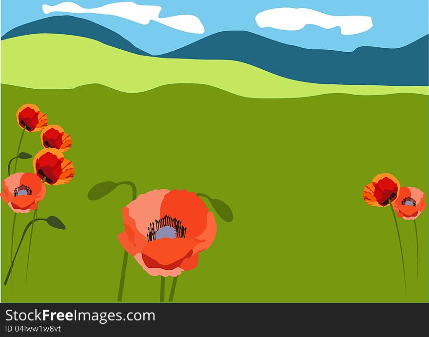 Landscape with red poppies on the meadows. Landscape with red poppies on the meadows