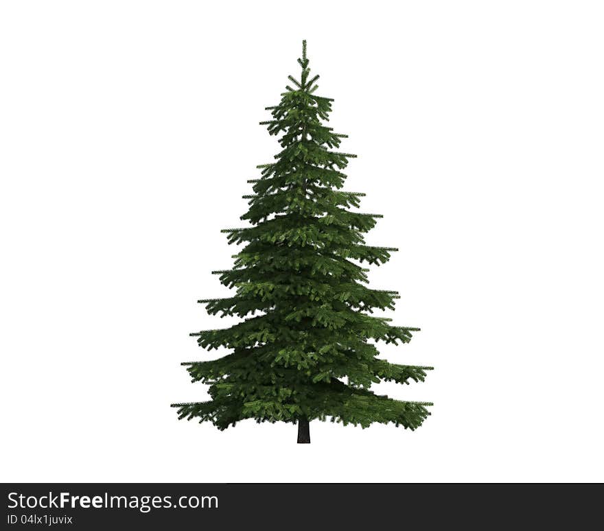 Tree isolated on a white background