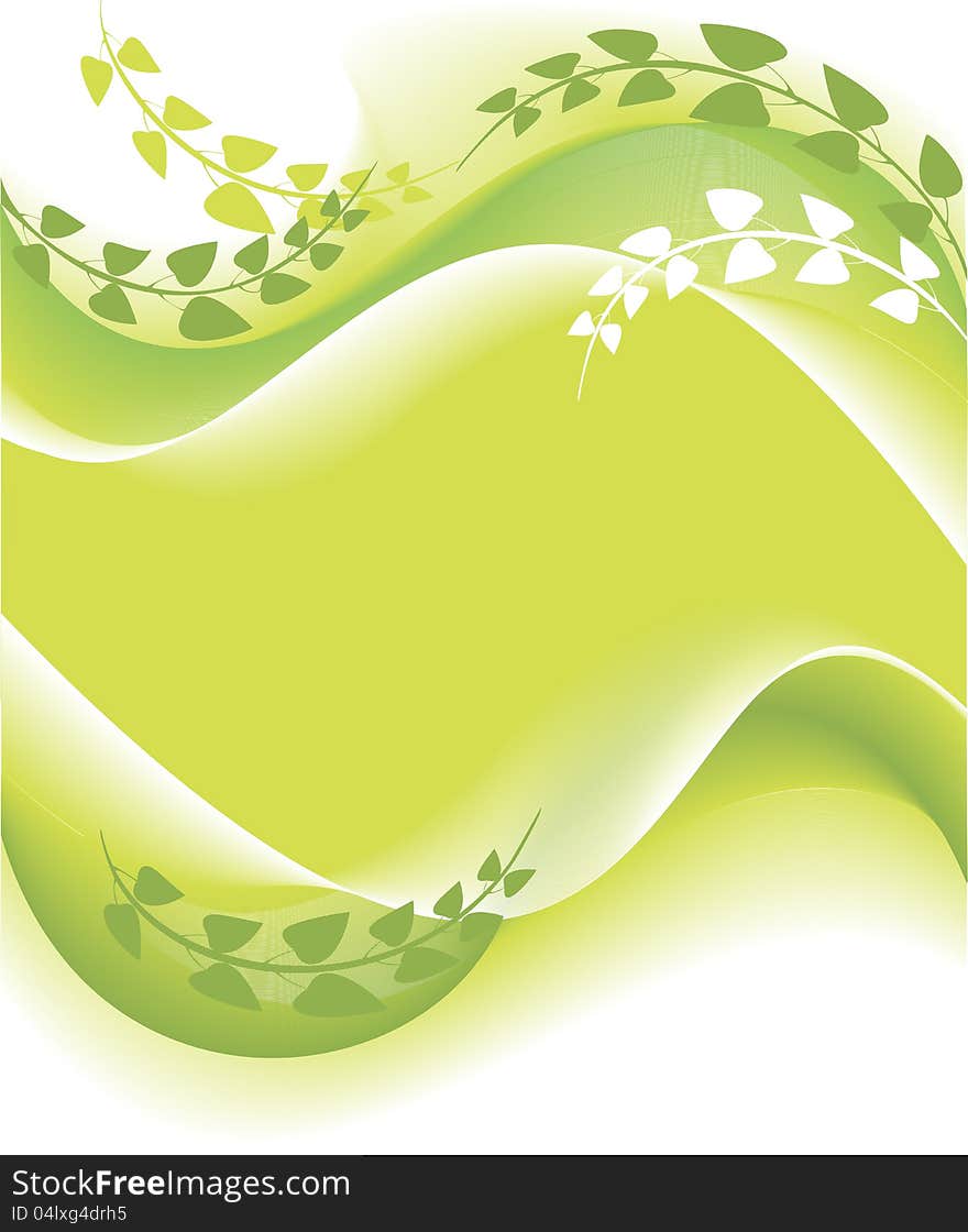 Spring green branches and leaves on a light background. Spring green branches and leaves on a light background