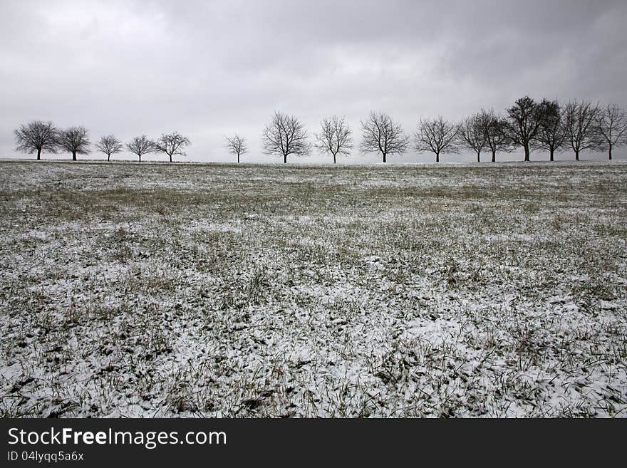 Winter landscape