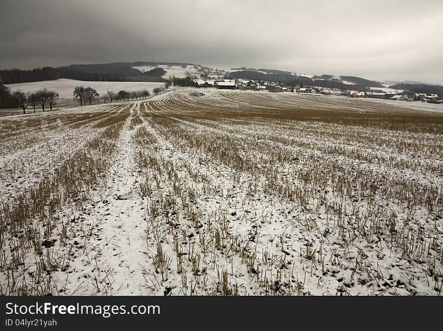 Field in winter