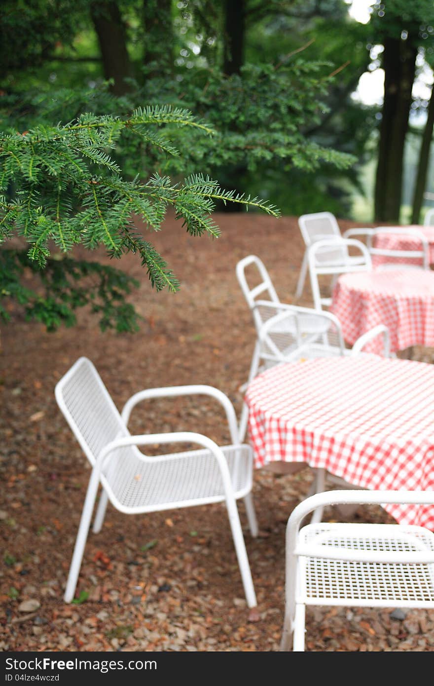 Few empty tables and chairs under wet fir tree in forest. Few empty tables and chairs under wet fir tree in forest