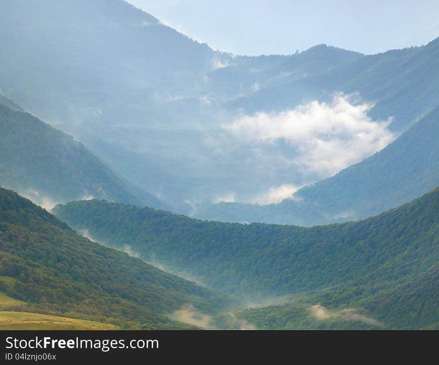 Beautiful summer landscape in the mountains