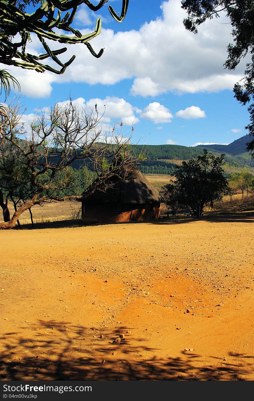 Safari through savanna fields in South Africa