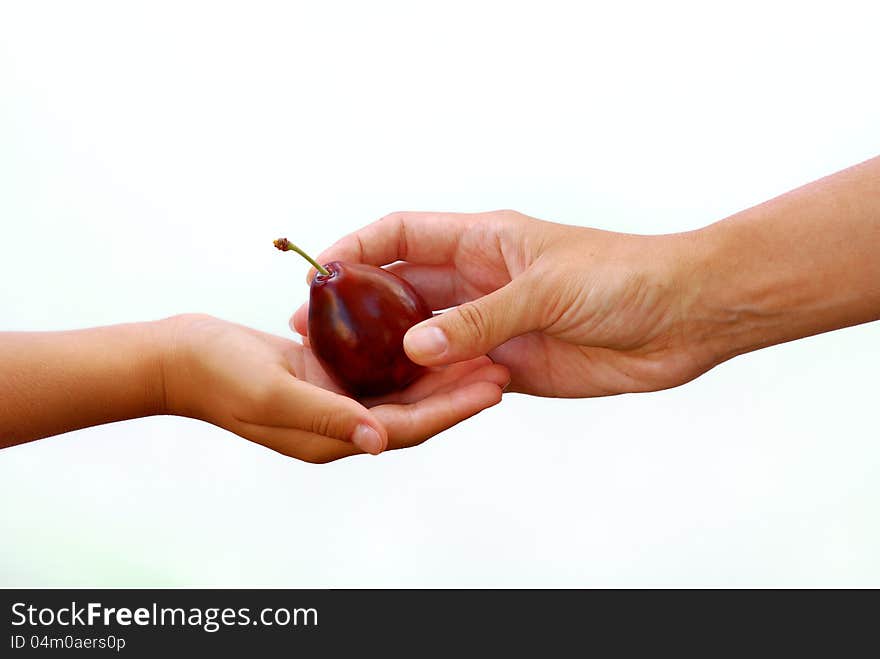 Plum from hand to hand