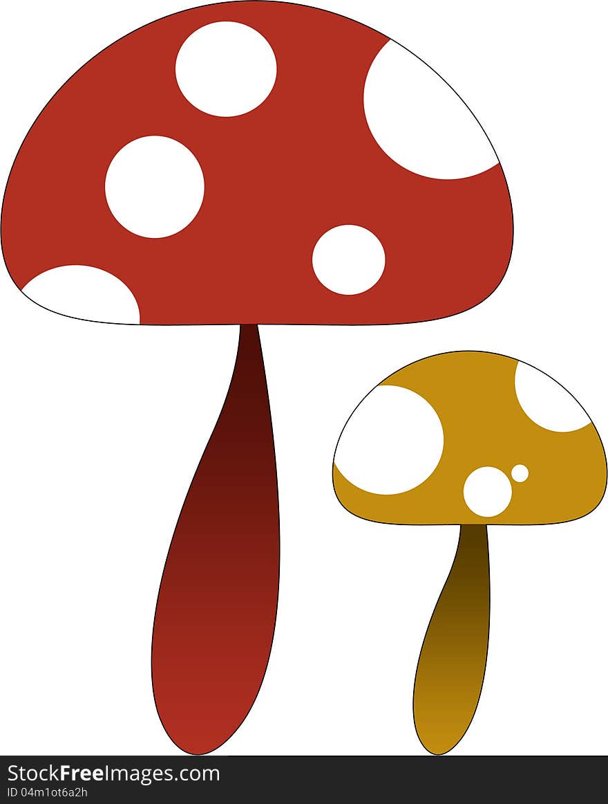 Two Amanita muscaria (or fly agaric) mushrooms one yellow and one red