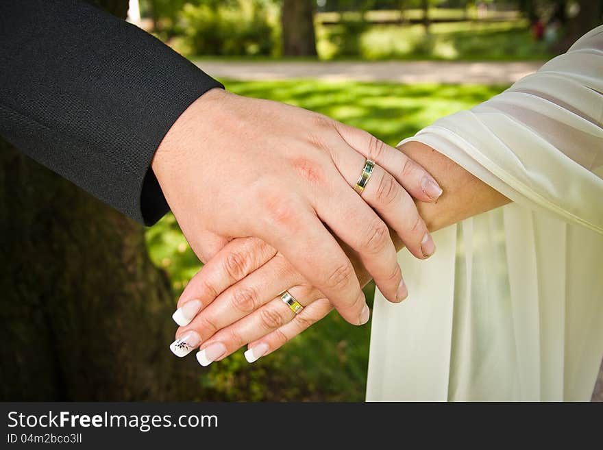 Wedding rings in the weddings day.