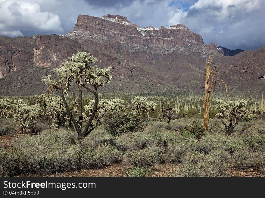 Superstition Mountains