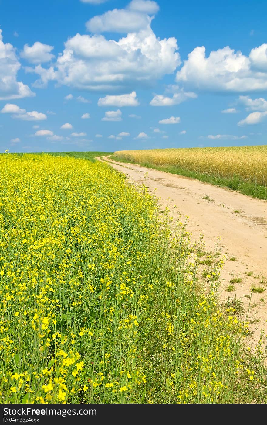 The road through the scenic rural landscape