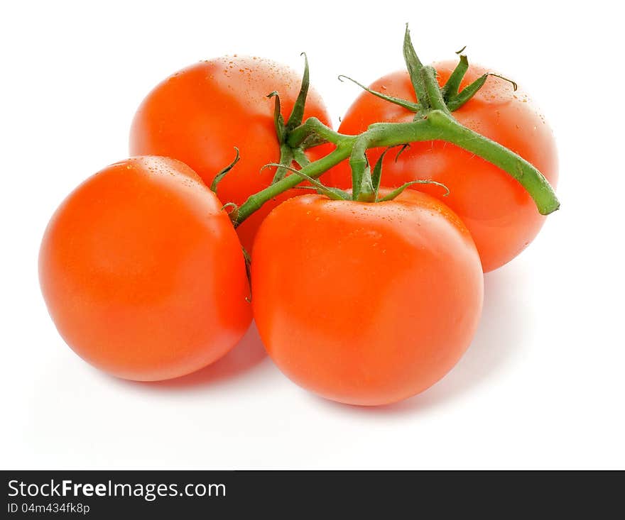 Four Fresh Tomatoes