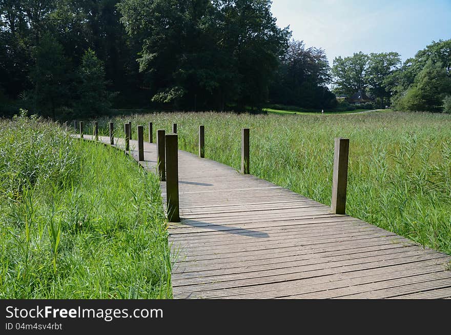 Wooden footbridge across wetlands