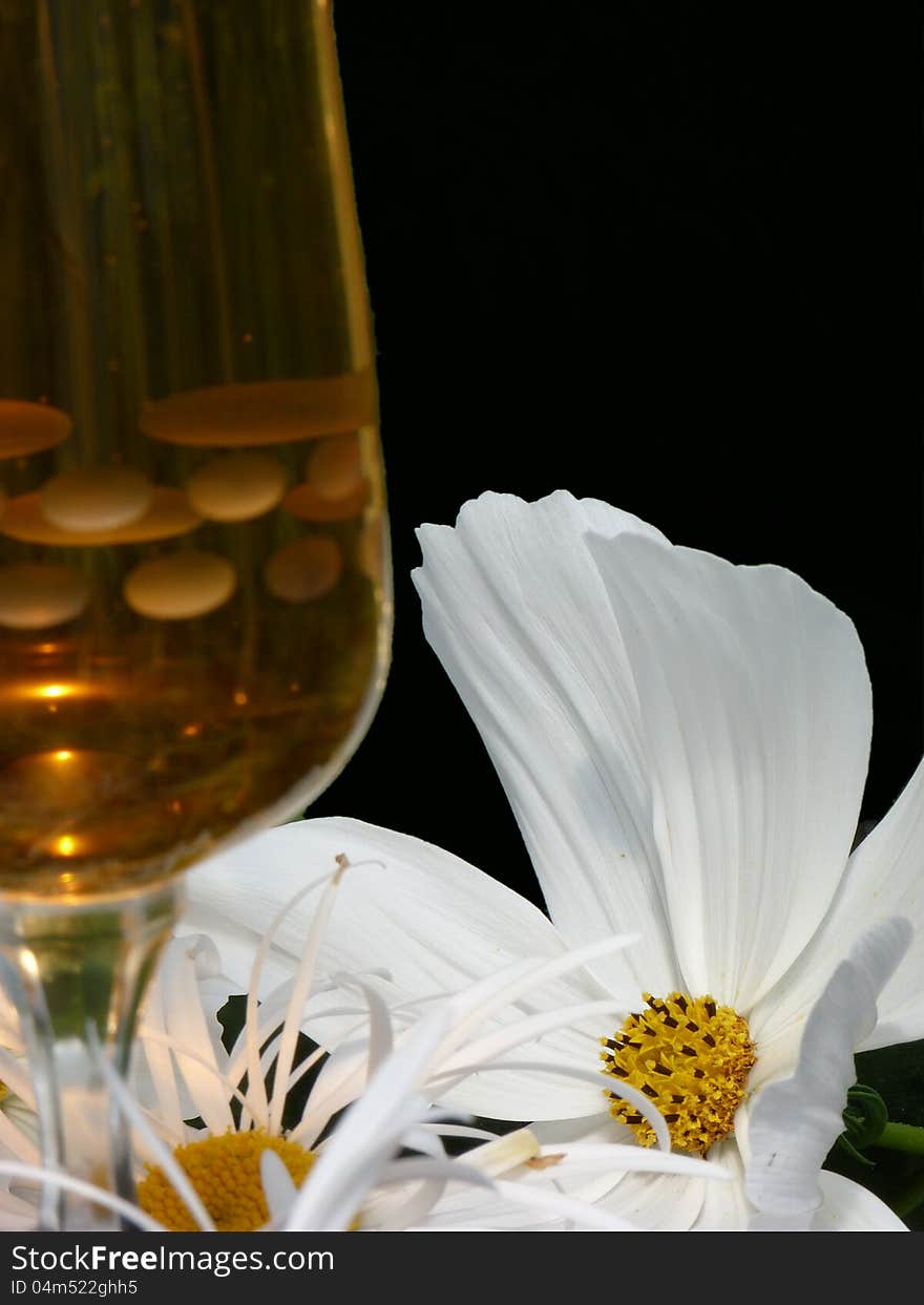 White cosmos with glass of wine in foreground