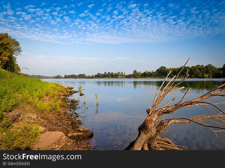 View of Tennessee River from Clifton, Tennessee