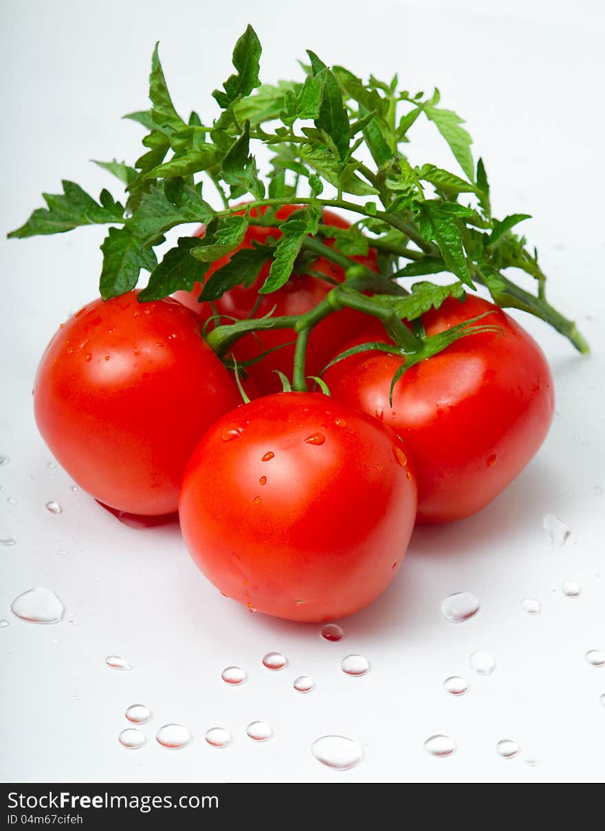 Tomato with leaves and water drops close up on white background. Macro