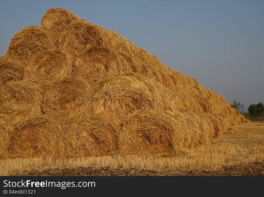 Warehousing and storage of straw on farms. Warehousing and storage of straw on farms