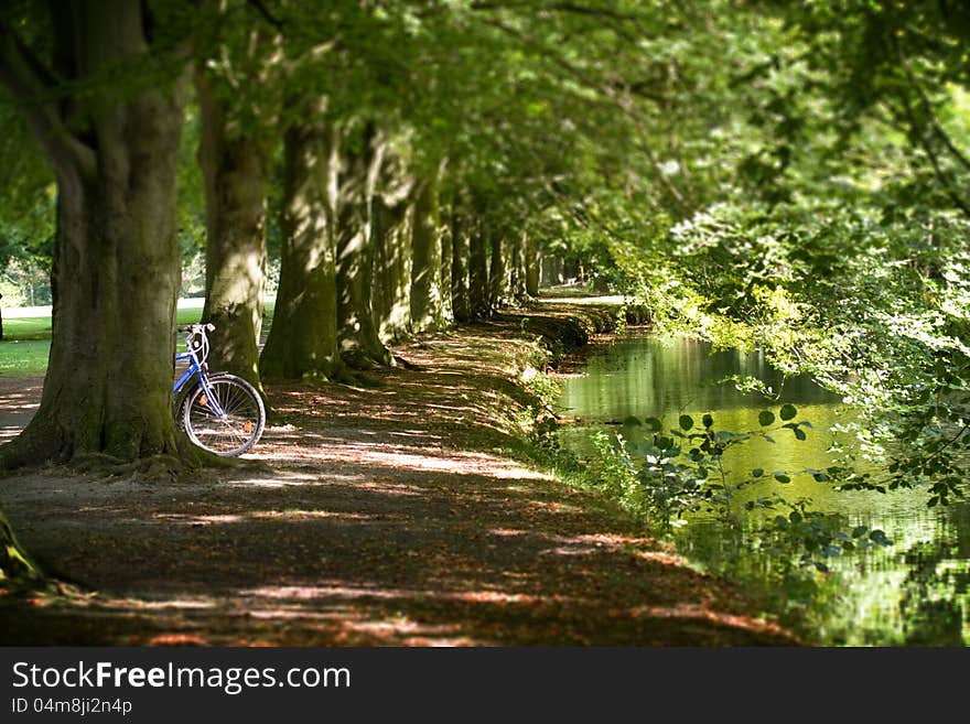 Bicycle in the park