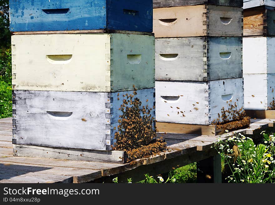 Bees around a beehive on a warm summer day. Bees around a beehive on a warm summer day.