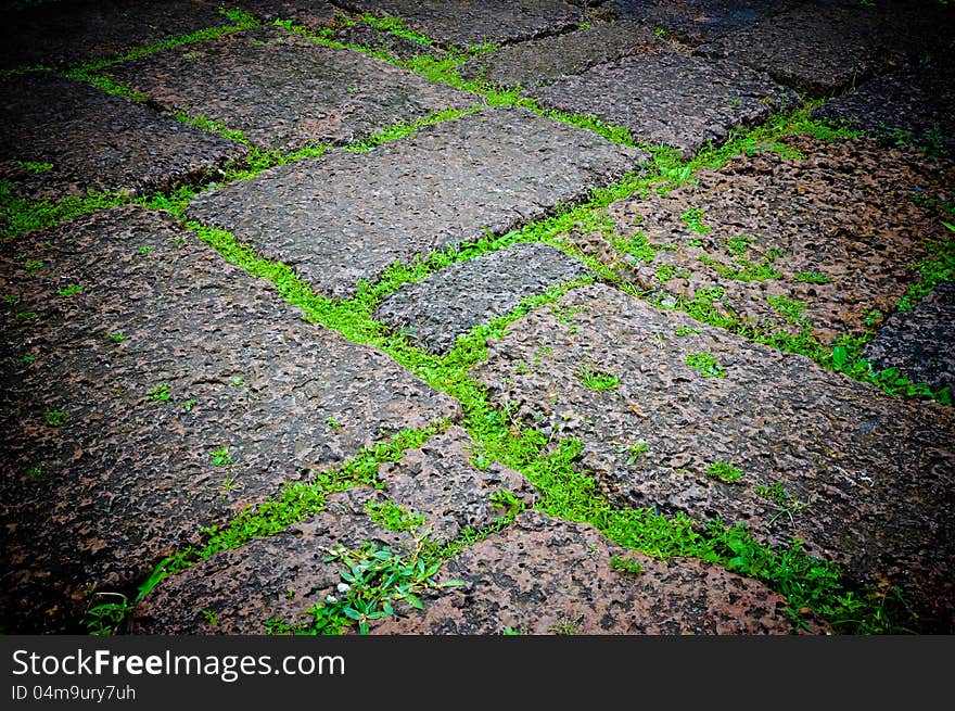 Green grasses on porous rock floor