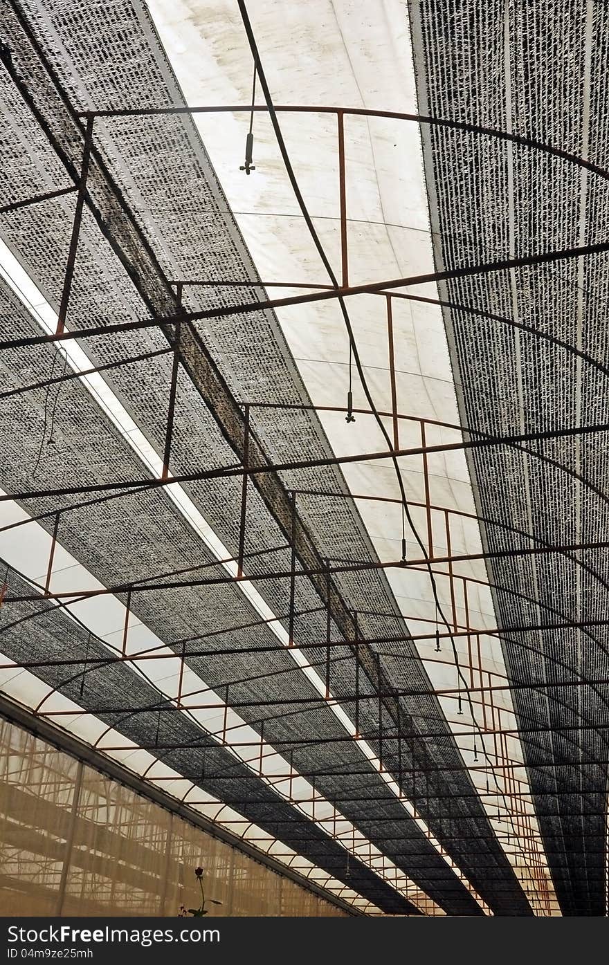 Angle view of plant nursery roof texture