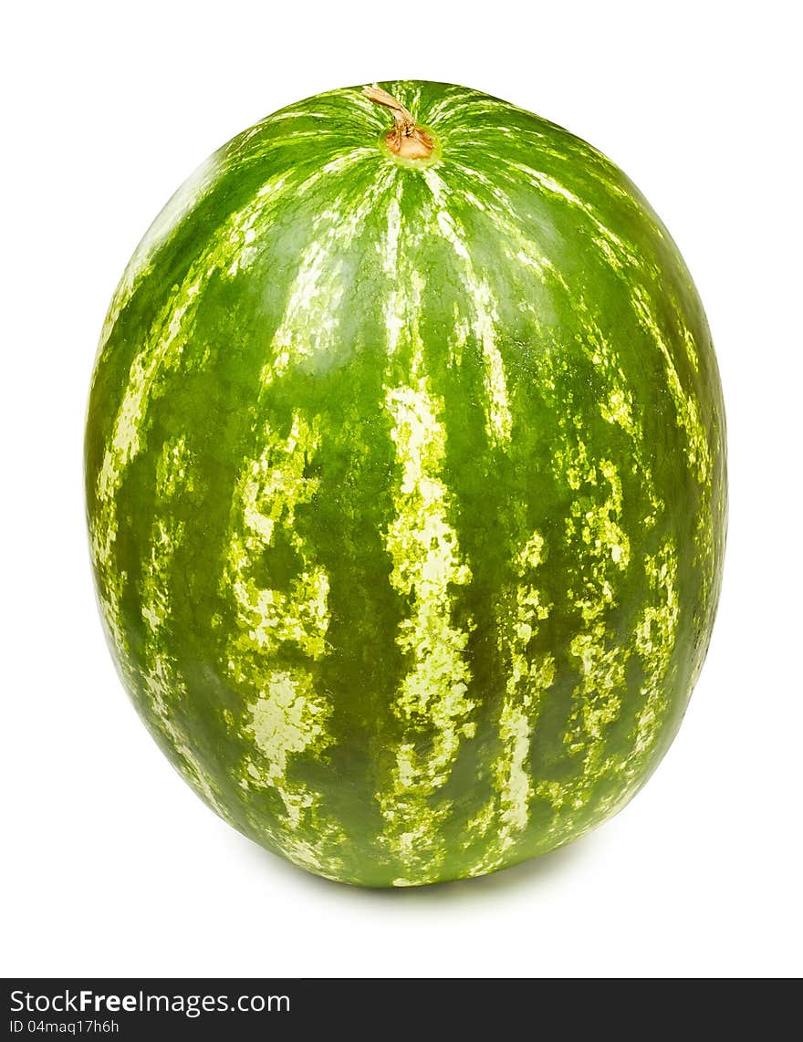 One Watermelon