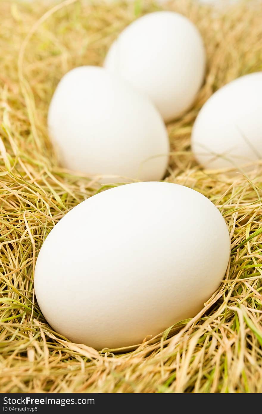 Eggs on grass