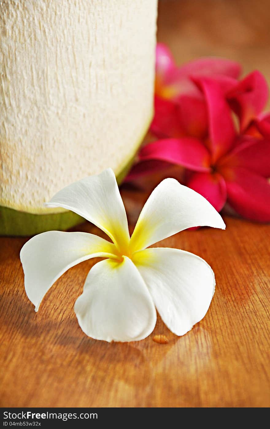 Frangipani flowers on wooden desk