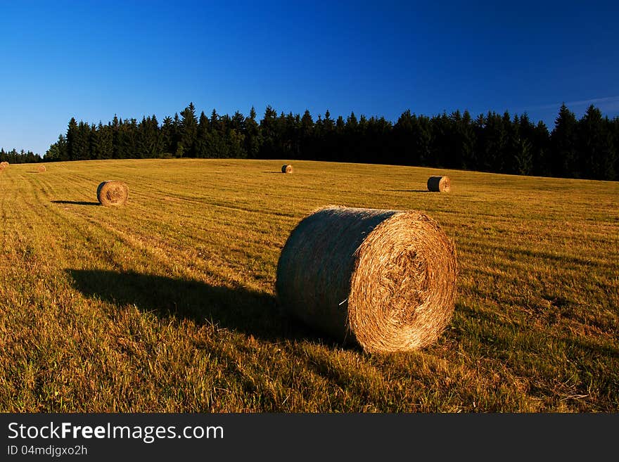 Straw bales in the morning.