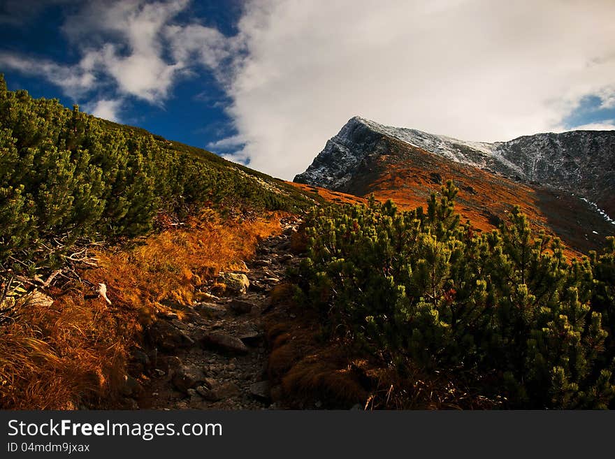 Mountains in summer time.