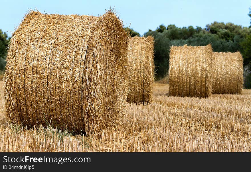 Straw bales in the day light