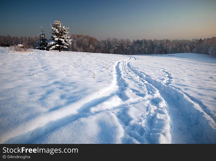 Winter sunrise in park.