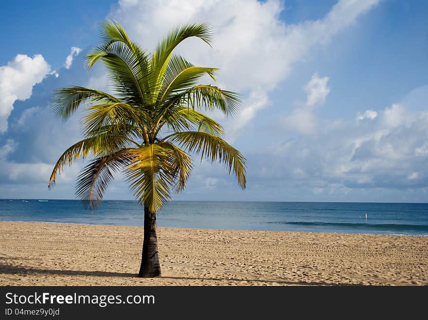 Beach resort in San Juan (Puerto Rico)