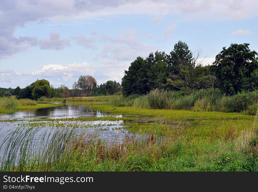 Lake in the field in the countryside