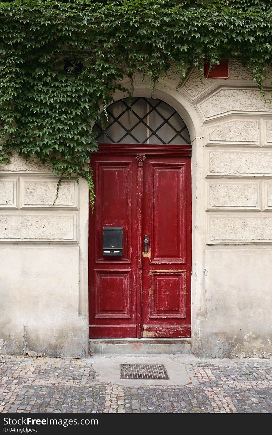 Old red wooden door with mail box under green ivy. Old red wooden door with mail box under green ivy