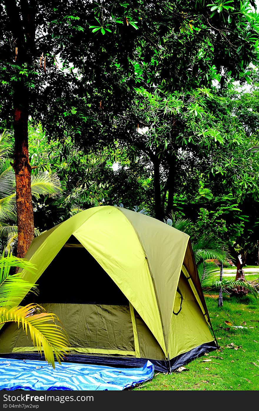 Tent under the trees