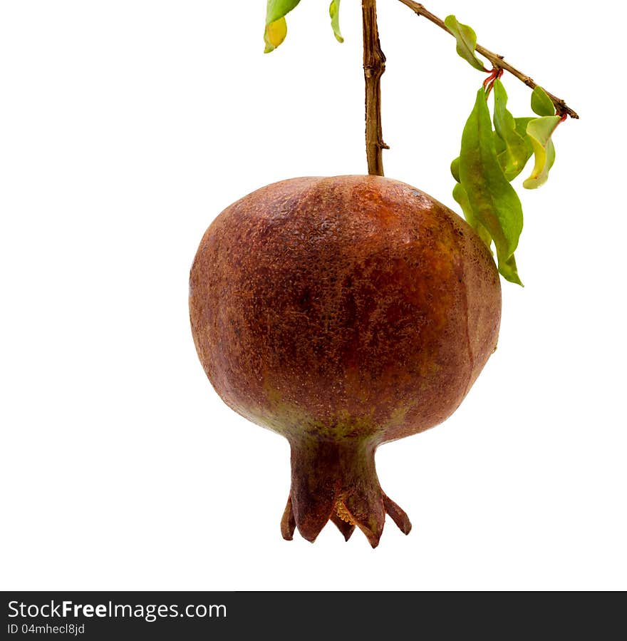 Pomegranate isolated on white background