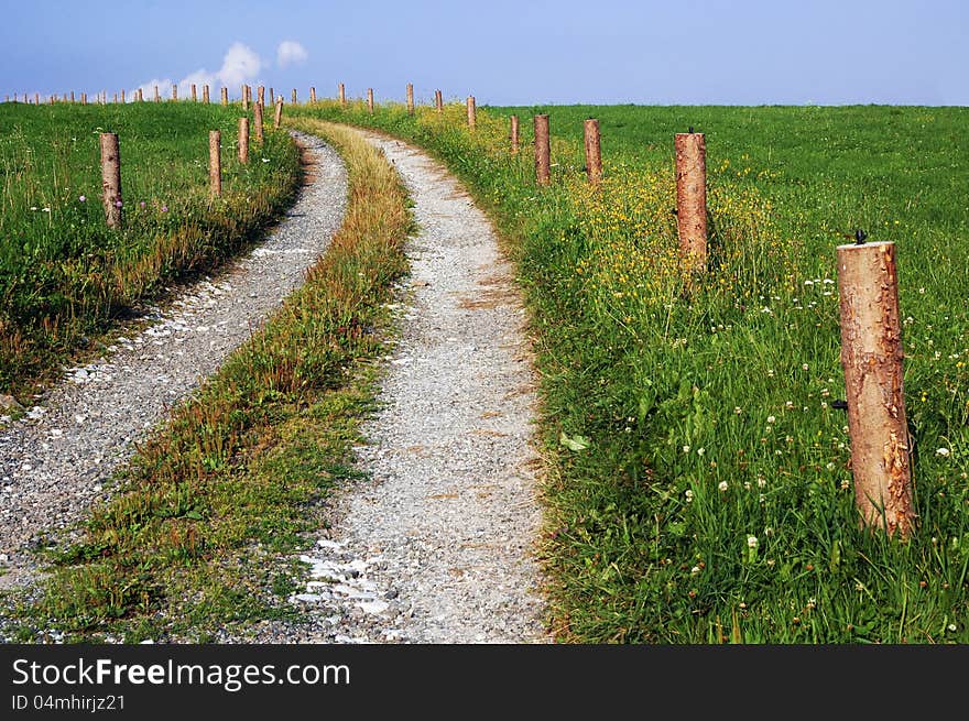 The path through meadow.