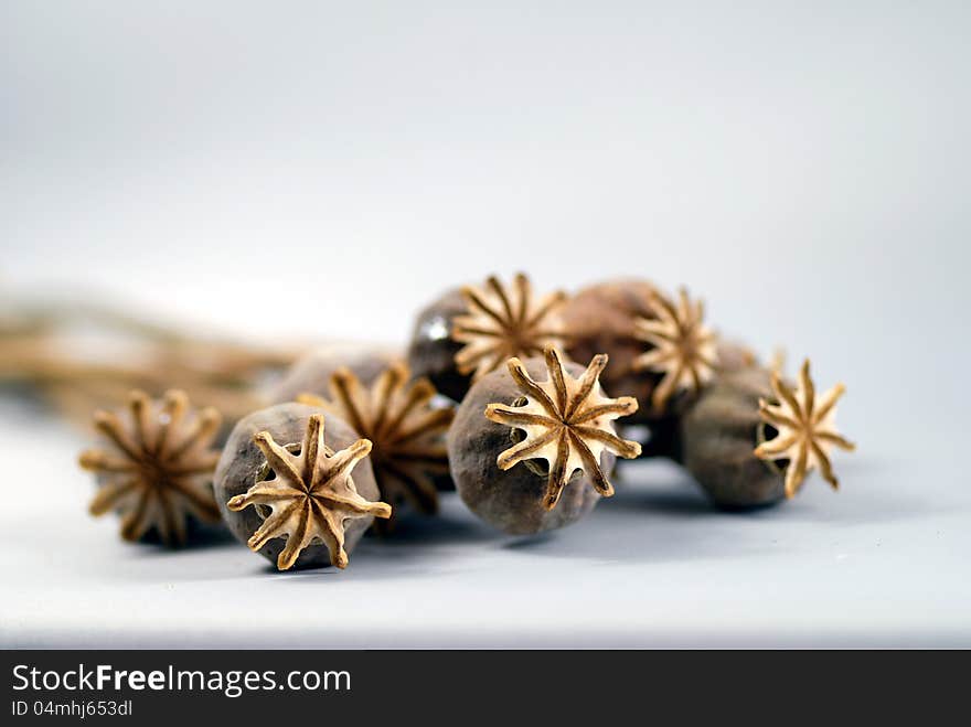 Poppy heads