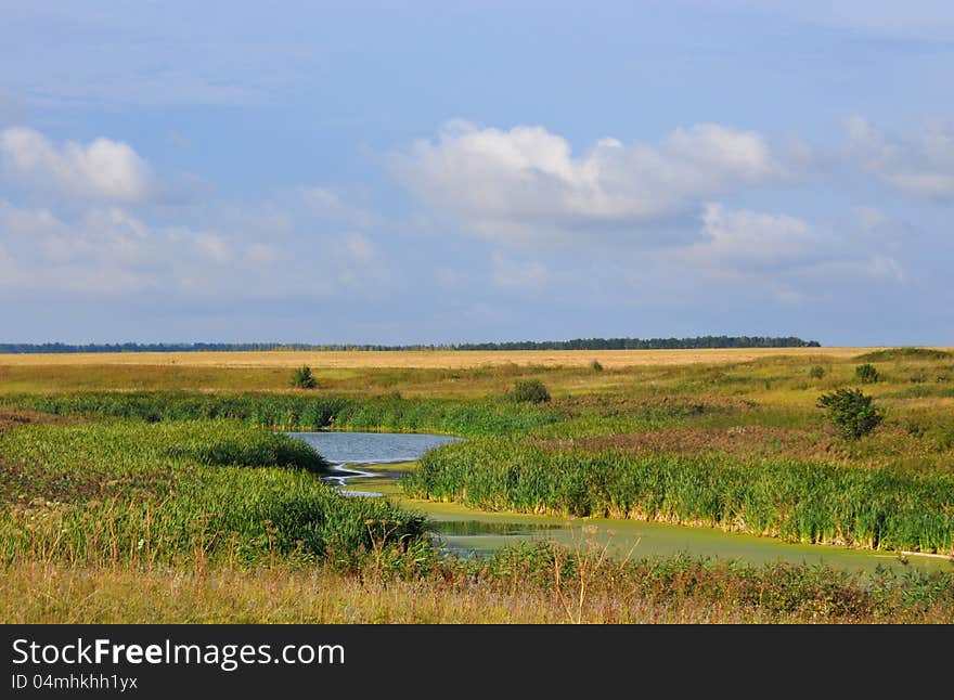 Lake in the field in the countrysid