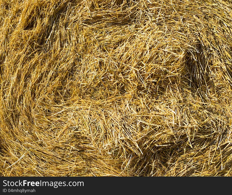 Closeup Hay