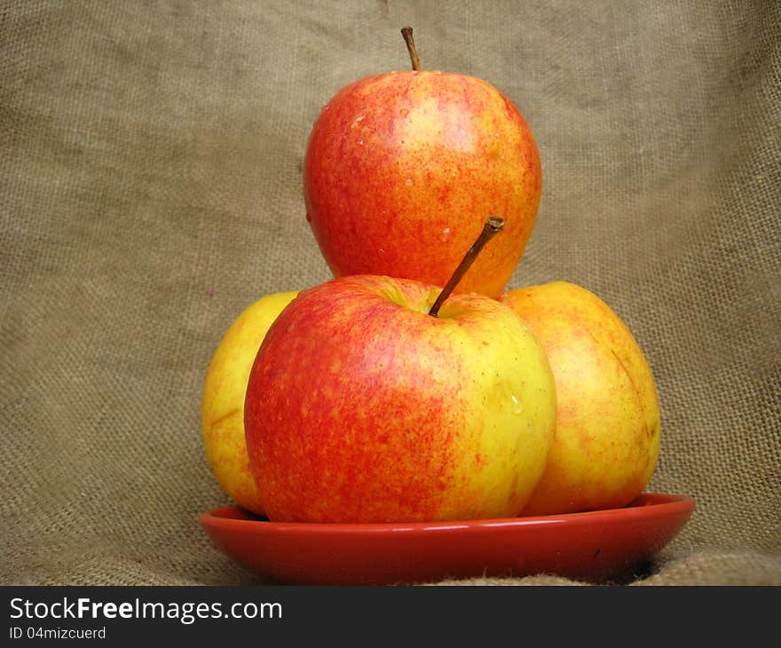 Tasty and ripe apple on the grey background. Tasty and ripe apple on the grey background