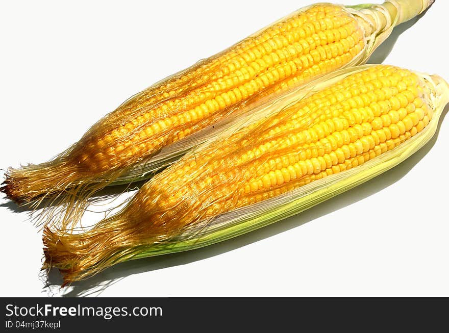 Sweet corns