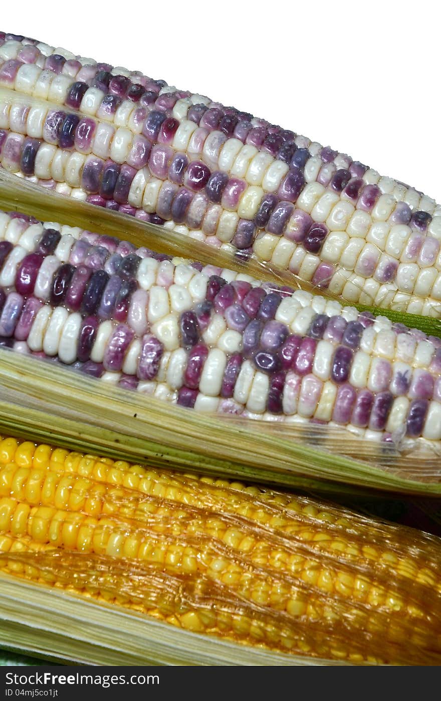 Sweet corns